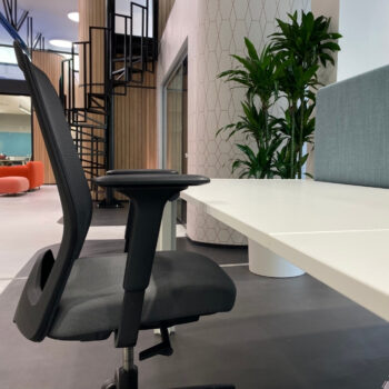 Come l’ambiente di lavoro condiziona la produttività