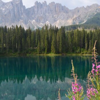 L’efficacia Personale: il terzo pilastro del Performance Management